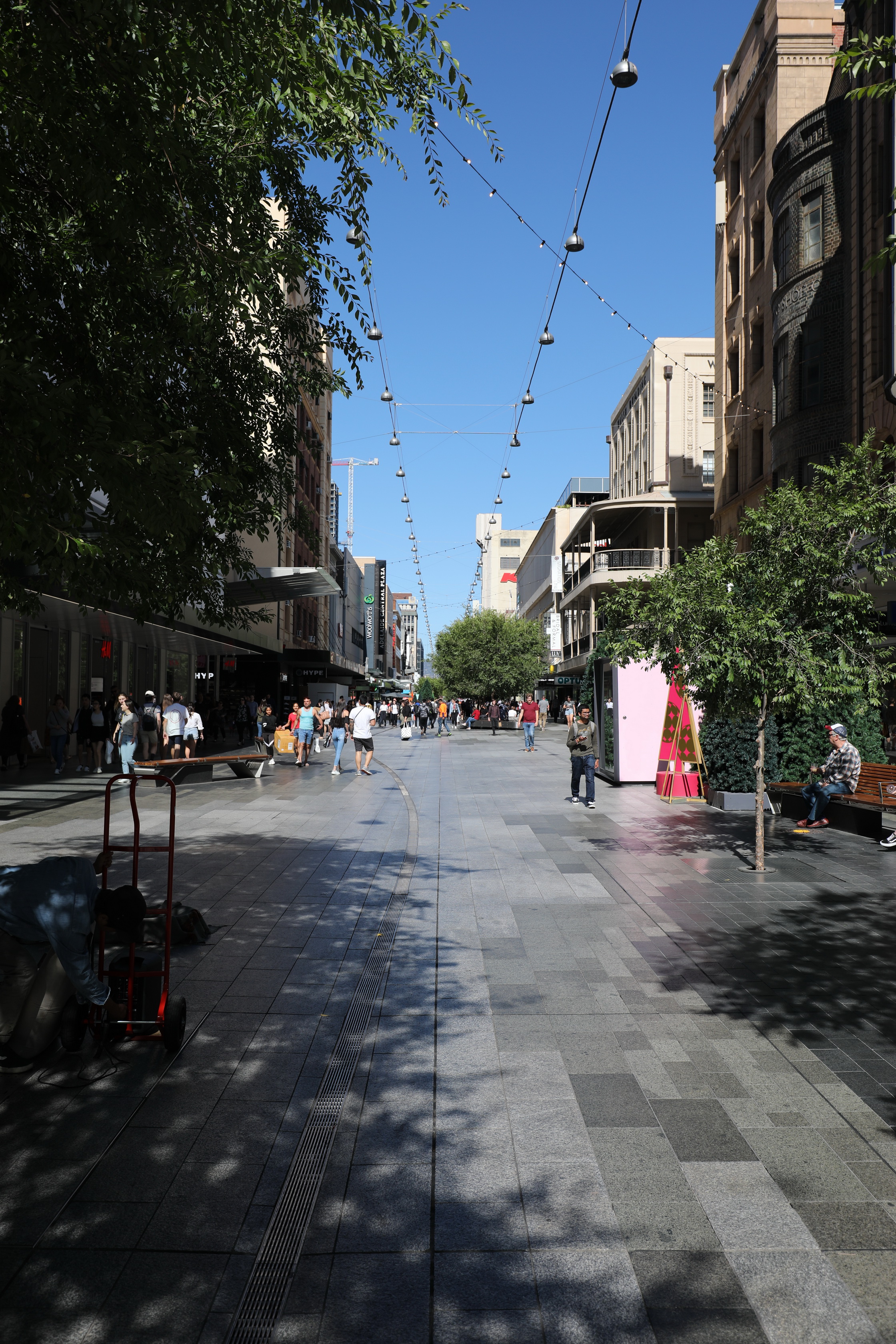 2019 12 12 16 33 11 Canon EOS 5D Mark IV 0009